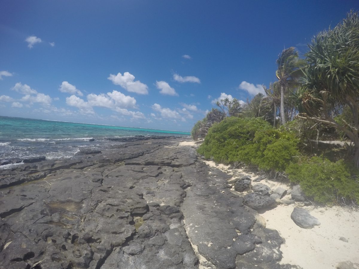 DCIM100GOPROGOPR0549.